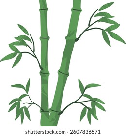 bamboo vector with japanese watercolor style