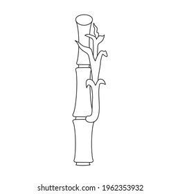 Bamboo vector outline icon. Vector illustration tree on white background. Isolated outline illustration icon of bamboo.