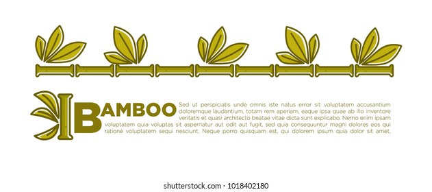 Bamboo vector poster design of tropical palm leaf for SPA center