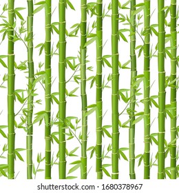 Bamboo vector seamless pattern. Green bamboo grove on a white background. Seamless japanese style texture for kitchen textiles, wrapping paper, wallpaper design, fabric.