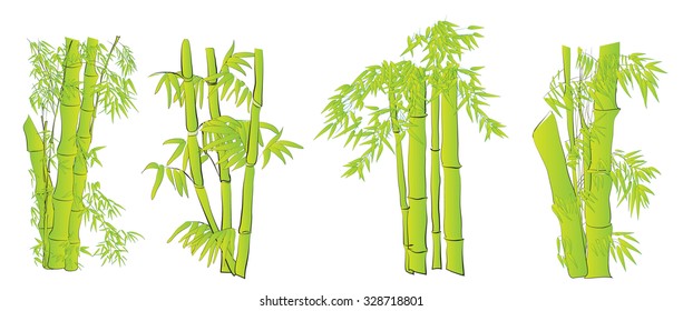 Bamboo vector set