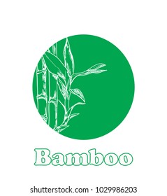 Bamboo vector sketch on green circle logo 