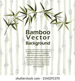 Bamboo vector template with text place. Exotic poster