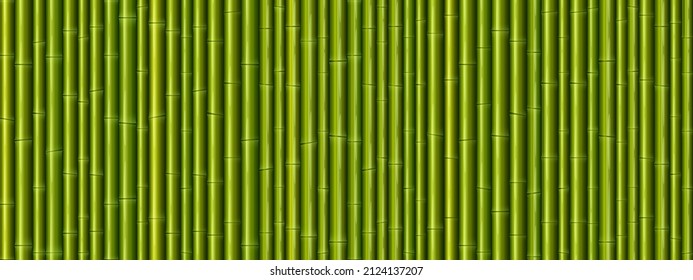 Textura de la pared de bambú. Patrón sin foco con palos de árbol verde. Antecedentes vectoriales de coloridas paredes japonesas o chinas de caña. Papel tapiz de los tallos de plantas tropicales