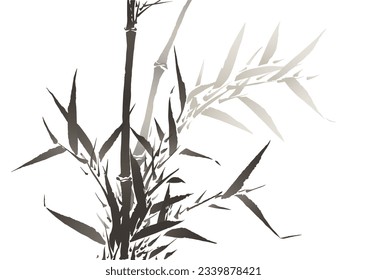 Bamboo in watercolor style. After a painting in the Japanese illustrated book Maika gafu, published 1814, in the Edo period. Colored illustration, isolated, on white background. Vector.