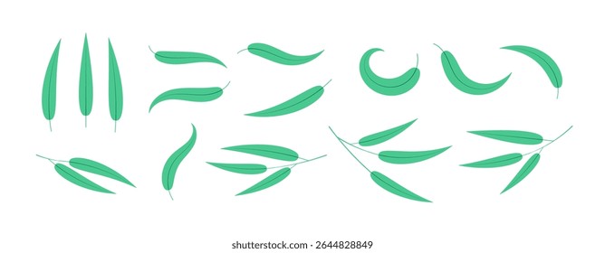 Bamboo, willow leaves, branches collection, isolated on transparent background. Hand drawn flat vector illustration. Plant, foliage, vegetation, botanical design elements, clip art set, Asian flora