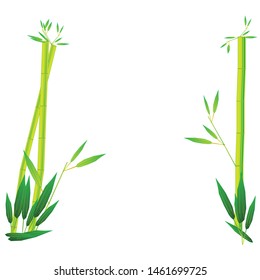 Bamboo yellow leaf, vector illustration