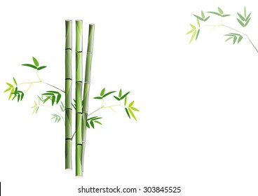 Bamboo,green bamboo on white background,Vector illustration