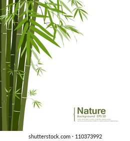 Bamboo,vector illustration