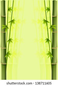 Bamboo,vector illustration