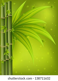 Bamboo,vector illustration