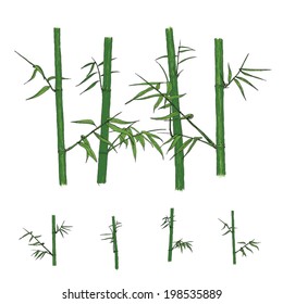 Bamboo,vector illustration