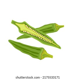 Bamyeh. Pods of green okra, whole and cut. Useful vegetable rich in vitamins. Vector flat illustration, cartoon style.