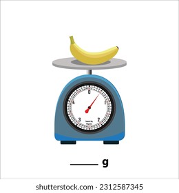 A Banana 500gm on a weighing scale, isolate on white background. Weight balance vector illustration. Equilibrium comparison sign business concept. Food weight kitchen illustration.