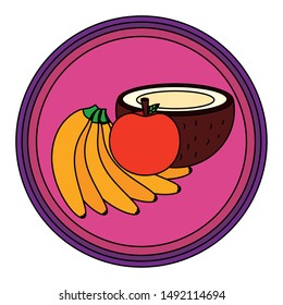 Banana apple and coconut design, Fruit healthy organic food sweet and nature theme Vector illustration