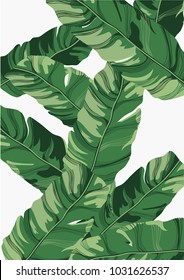 Banana background background illustration