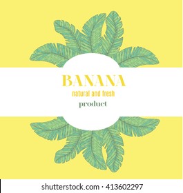 Banana banner. Fruits label. Background for design of packing.Stock vector