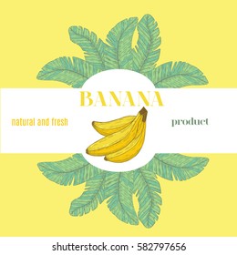 Banana banner. Fruits label. Background for design of packing.Stock vector