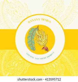 Banana banner. Fruits label. Vector banana template. Background for design of packing.Stock vector