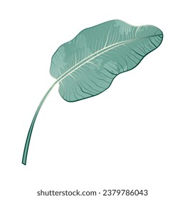 Banana blue tropical leaf with gradient and watercolor texture. Botany isolated vector element on white background. Template for design, print, decor.	
