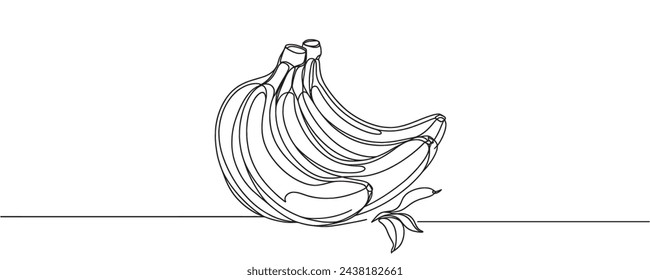 banana branch drawing, continuous line. vector illustration. Banana in one line