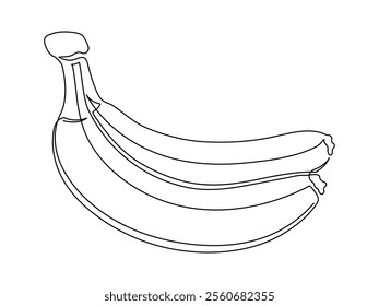 Banana branch line isolated on white background. Simple silhouette of fruit. Hand drawn banana outline. Vector illustration