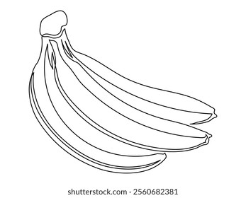 Banana branch line isolated on white background. Simple silhouette of fruit. Hand drawn banana outline. Vector illustration