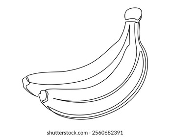 Banana branch line isolated on white background. Simple silhouette of fruit. Hand drawn banana outline. Vector illustration