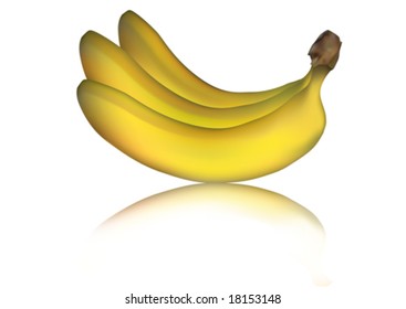 Banana branch on white background