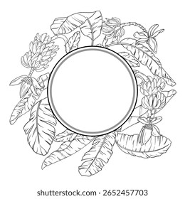 Banana Branch Outline Round Frame.