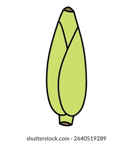 Banana bud vector illustration, simple design