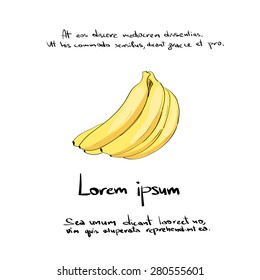 Banana Bunch Hand Draw Logo Color Icon Vector Illustration