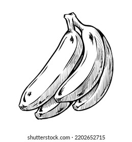 Banana bunch illustration in a hand-drawn style