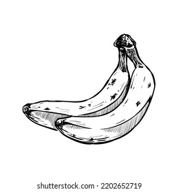Banana bunch illustration in a hand-drawn style