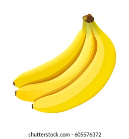 Banana. Bunch of Ripe bananas on a white background. Side view. Close up. vector illustration. for cooking, cosmetics, Herbal medicine, skin and hair care, ointments , perfumery, labels, prints, web