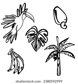 Bananenkashew monstera leaf palme toucan trope silhouette grafik Vektorgrafik