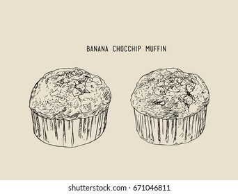 banana Chocolate chip muffins in paper cases , sketch vector.