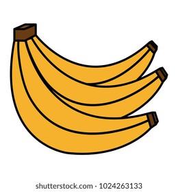 Banana cluster isolated icon