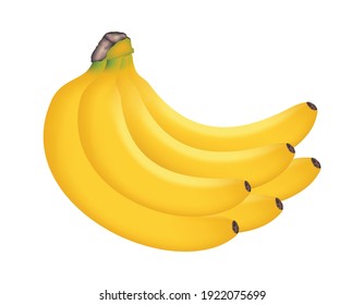 Banana cluster isolated on white, vector illustration