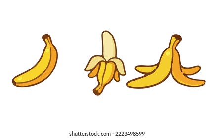 Banana cluster isolated on white, vector illustration