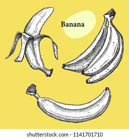 Banana collection. Hand drawn fruit Can be used for vegan products, brochures, banner, restaurant menu, farmers market and organic food store