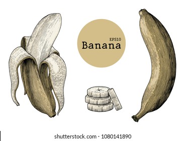 Banana collection sets hand drawing vintage engraving illustration