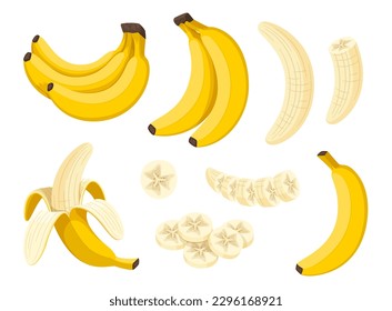 Banana collection vector illustration. Bunch of bananas, peeled and half-peeled banana. Sliced bananas and half of banana. Bright cartoon illustration of a tropical fruit on a white isolated backgroun