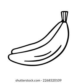 Banana doodle, cooking nutrient. Hand-drawn sweet fruit, proper eating, healthy diet. Sketch, minimalism, line art. Isolated. Vector illustration