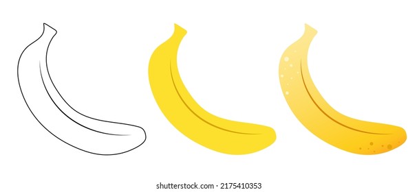 Banana. Ilustración de un banano. Ilustración vectorial de plátano