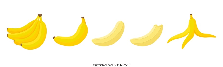 Banana eating step by step process. Bananas, peeled exotic fruit and bitten. Fresh tropical vegan snack. Organic tasty sweet dessert, neoteric vector scene