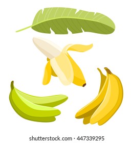 Banana elements, isolated vector banana objects