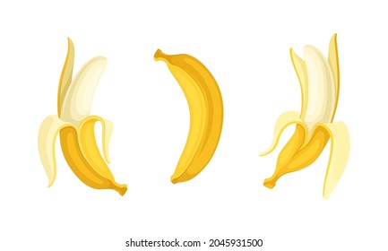 Banana as Elongated, Edible Fruit Covered with Yellow Rind Vector Set