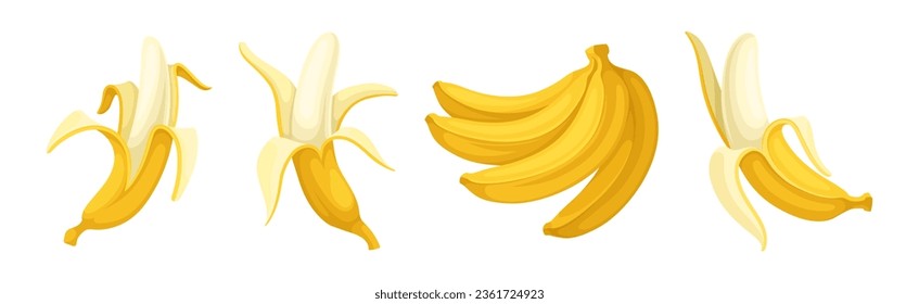 Banana as Elongated, Edible Fruit Covered with Yellow Rind Vector Set