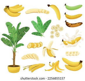 Banana flat set with isolated images of under ripe and overripe banana fruits with skin slices vector illustration